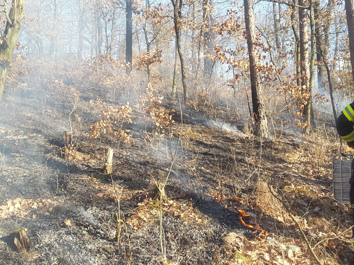 požár lesa (7).jpg