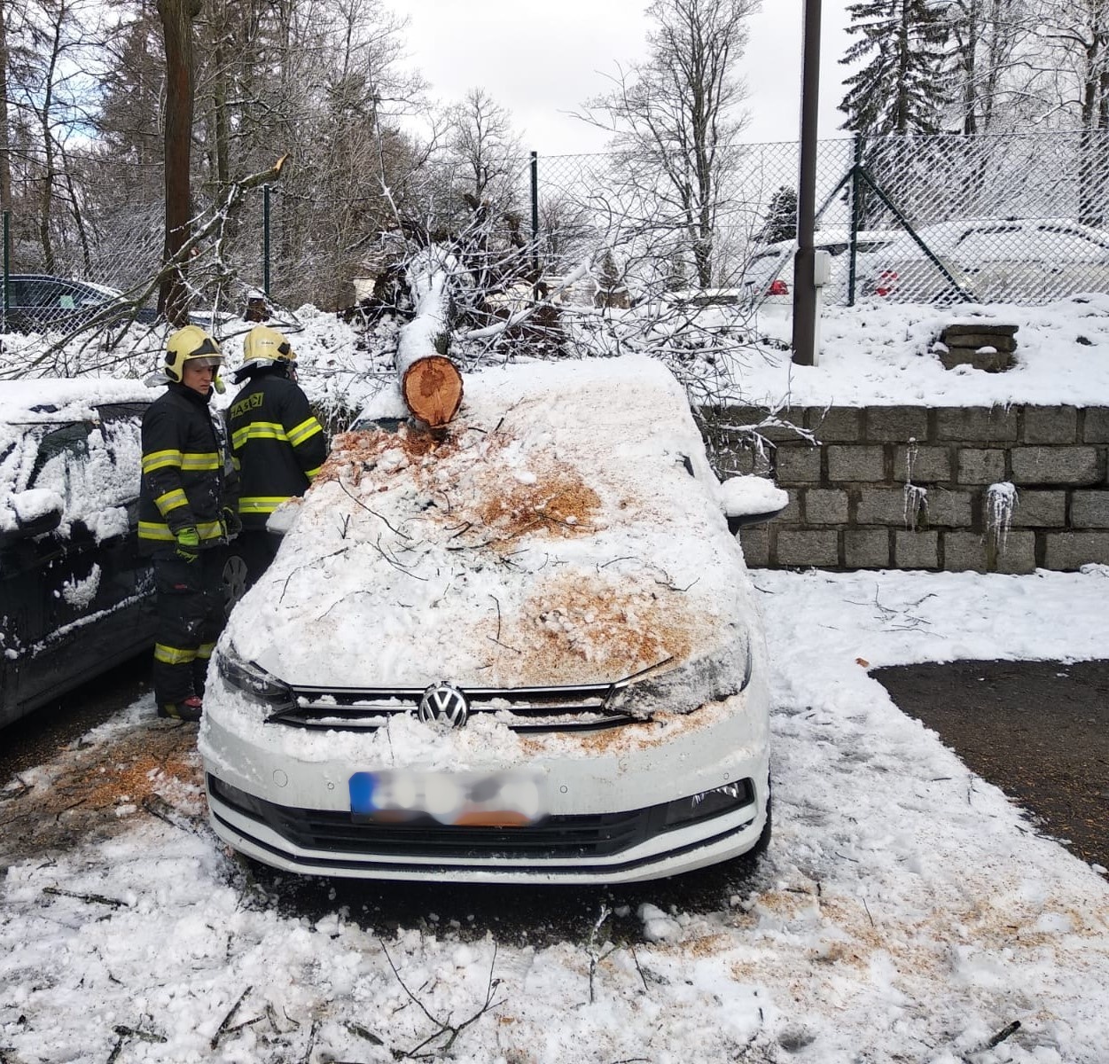 spadlý strom poničil OA