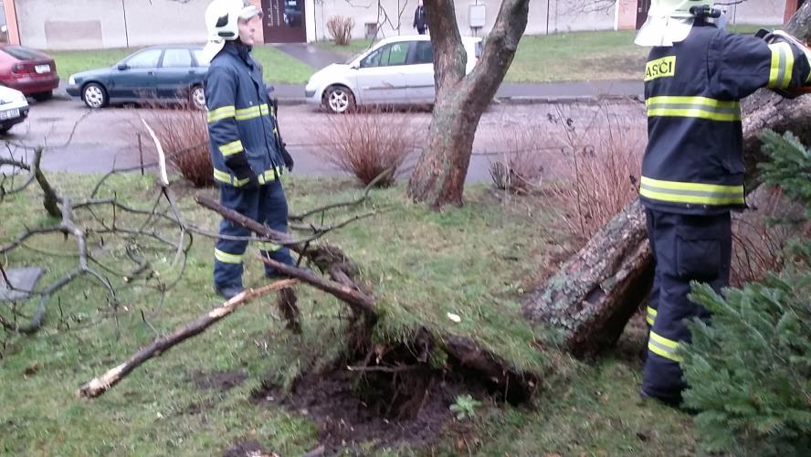 Desítky popadaných stromů likvidovali hasiči během soboty