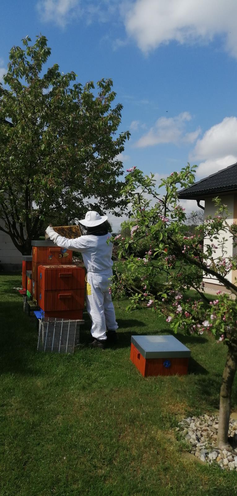 včely s včelařem hasičem(4).jpg