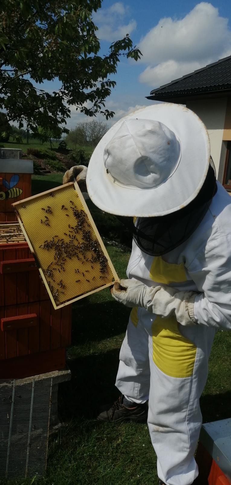 včely s včelařem hasičem (2).jpg