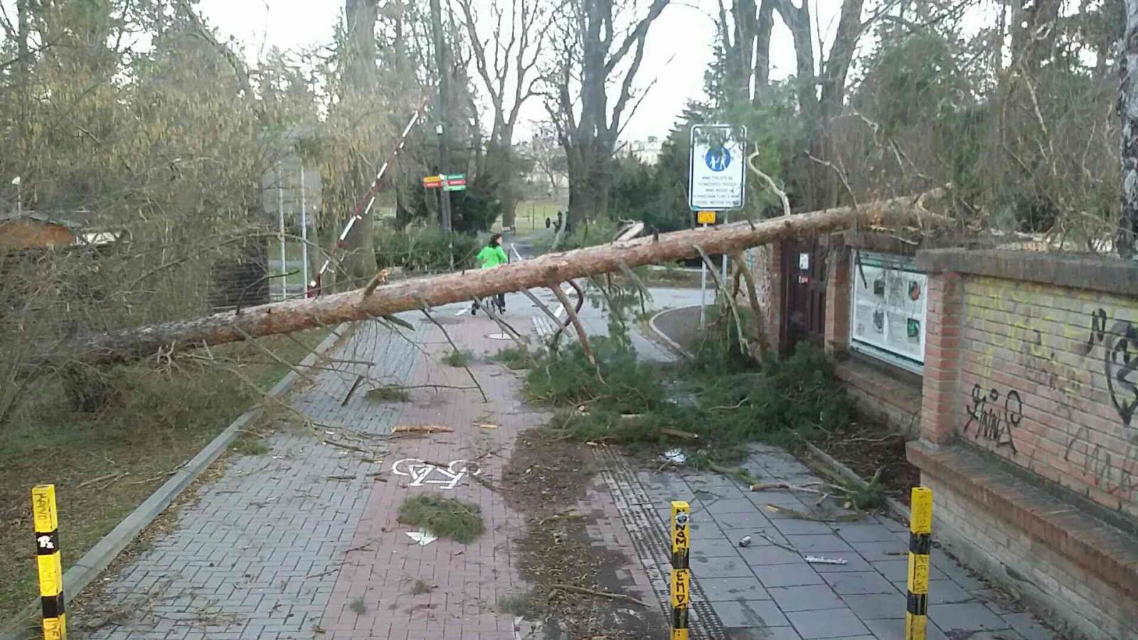 velmi silný vítr olomoucky kraj - foto aktualizace den 11.3.2019