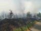 požár lesa (7).jpg