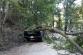 218-Pád stromu na osobní automobil v katastru obce Křepenice u Cholínského mostu na Příbramsku.jpg