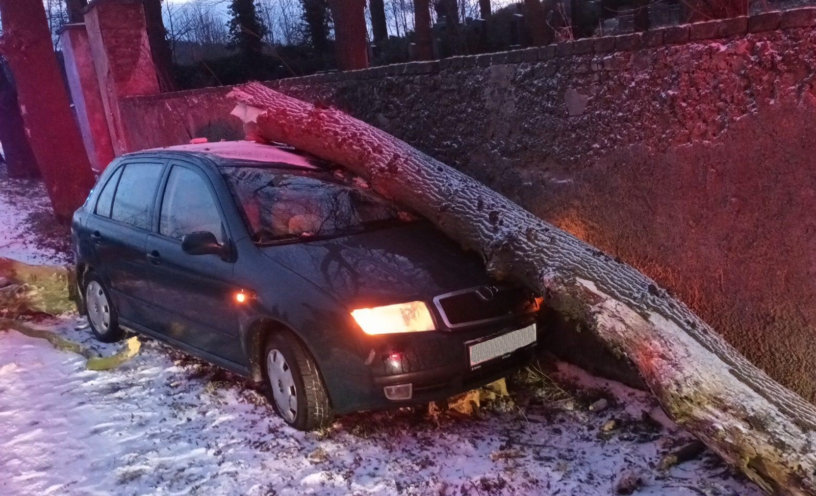 049-Starý ztrouchnivělý strom přeražený osobním autem u hřbitova na okraji Příbrami.jpg