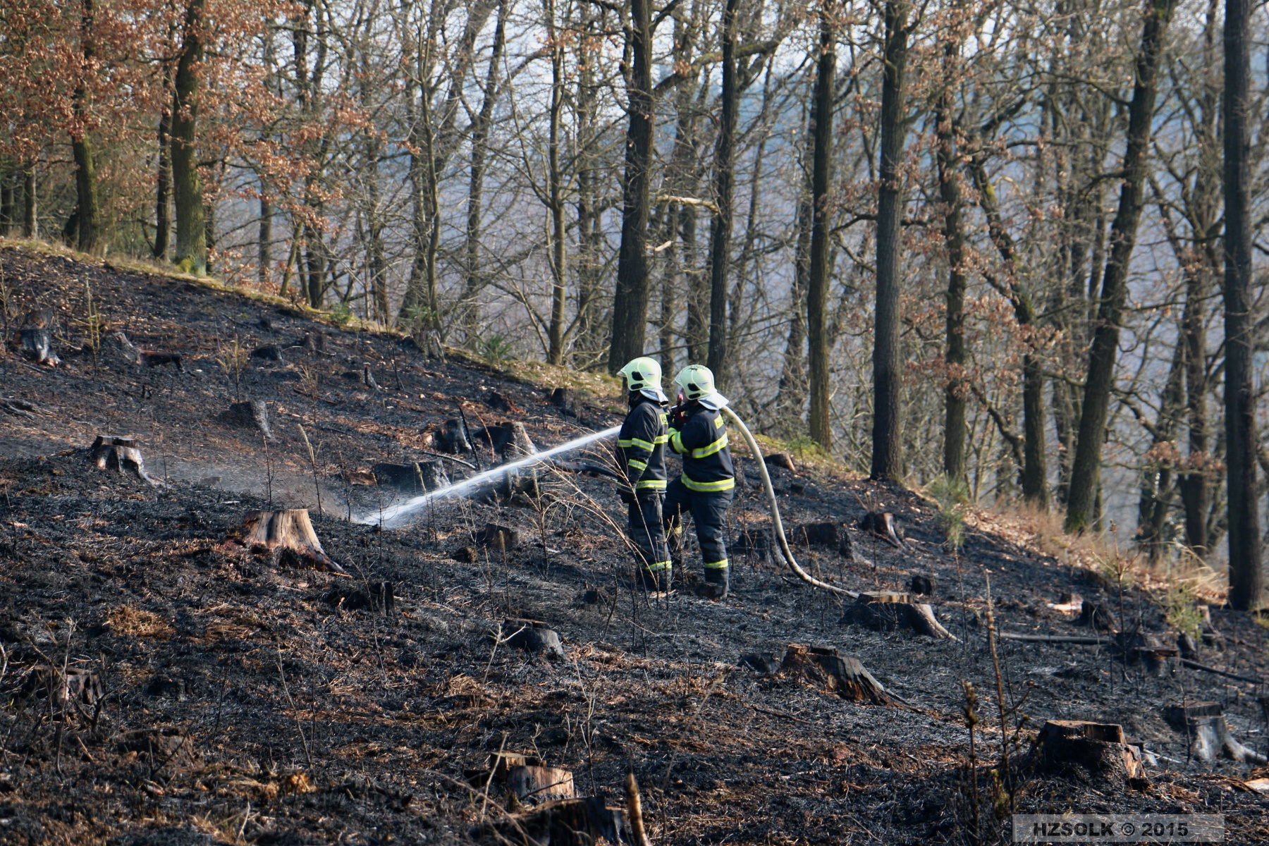 1 P_LP_24-3-2015 Požár lesa Přerov Penčice (1).JPG