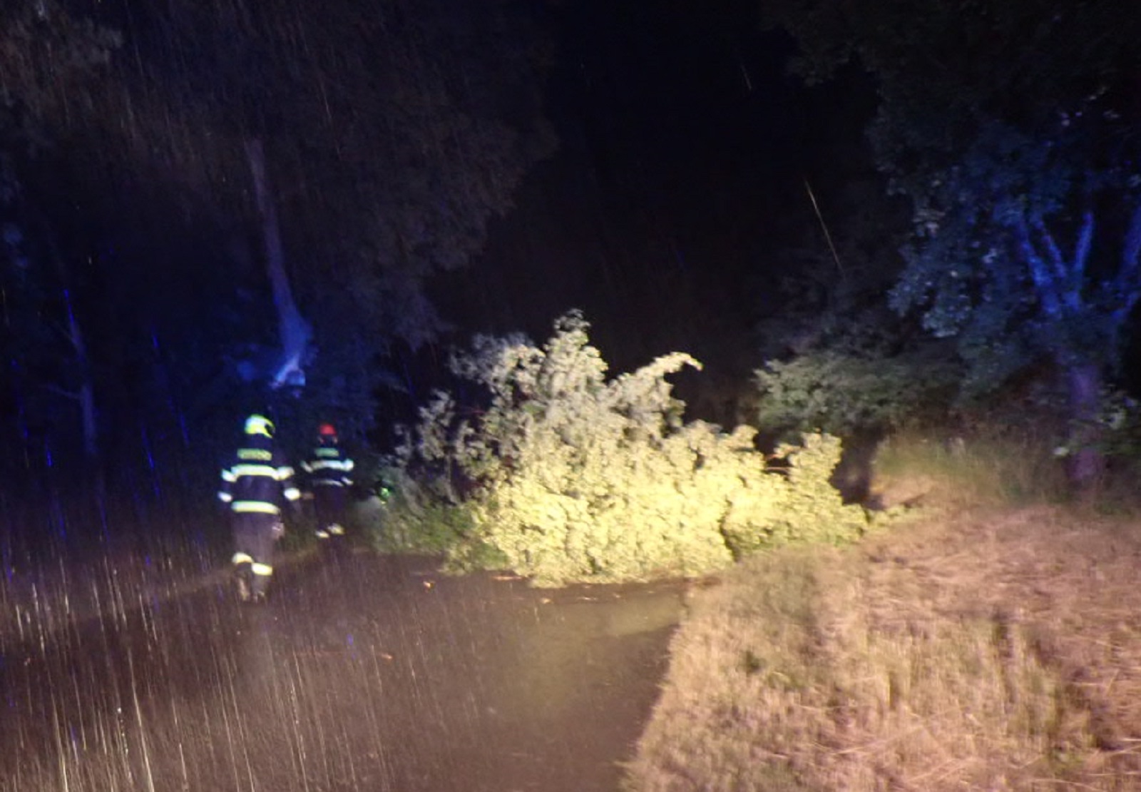 Hasiči odstraňují spadlý strom přes silnici.