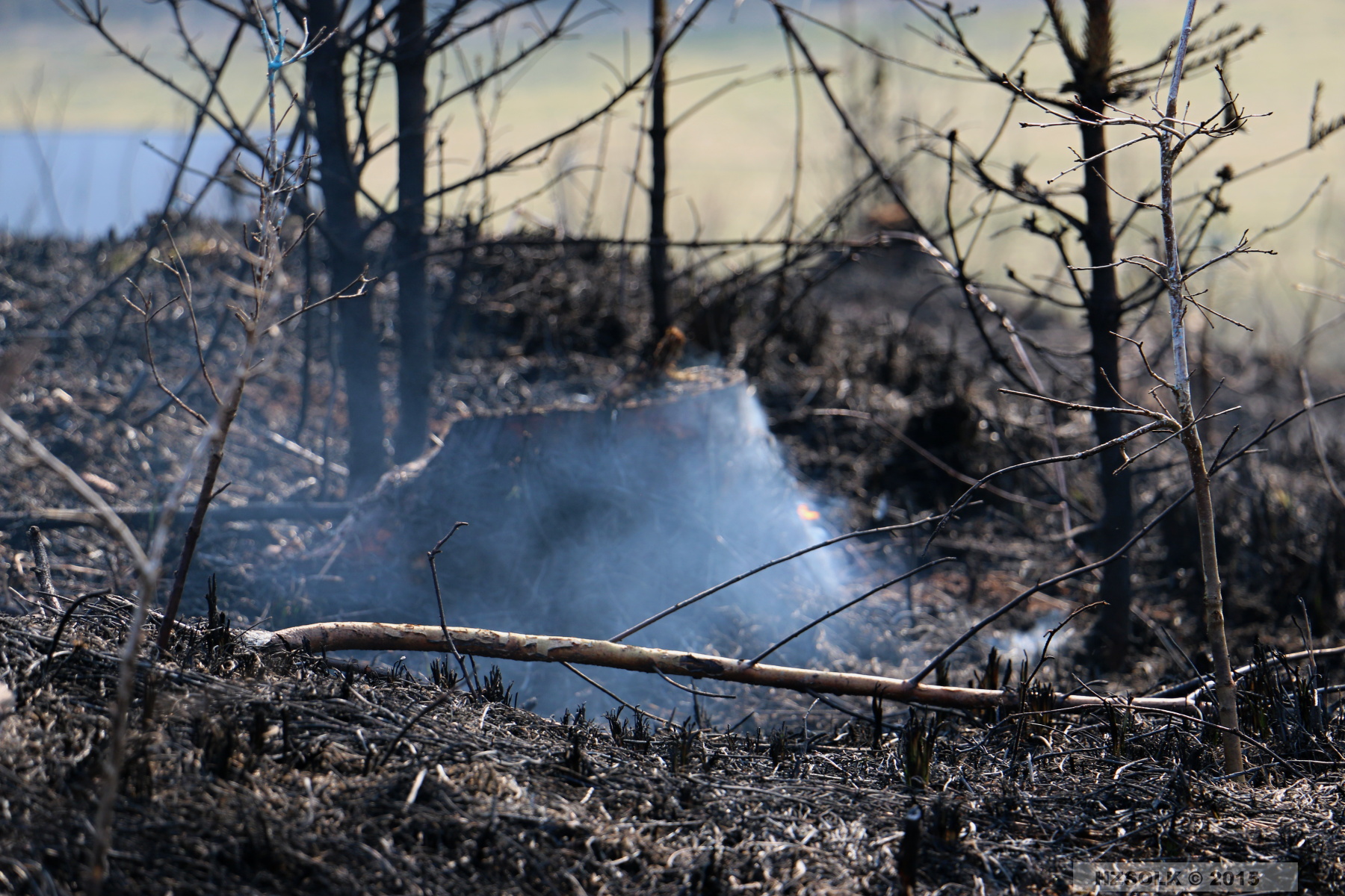 10 P_LP_24-3-2015 Požár lesa Přerov Penčice (18).JPG