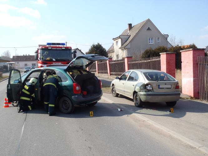 18.3.2015 DN Třemošná.JPG