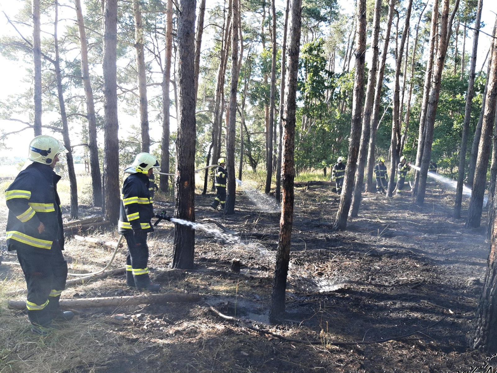 184-Lesní požár u obce Velký Osek na Kolínsku.jpg