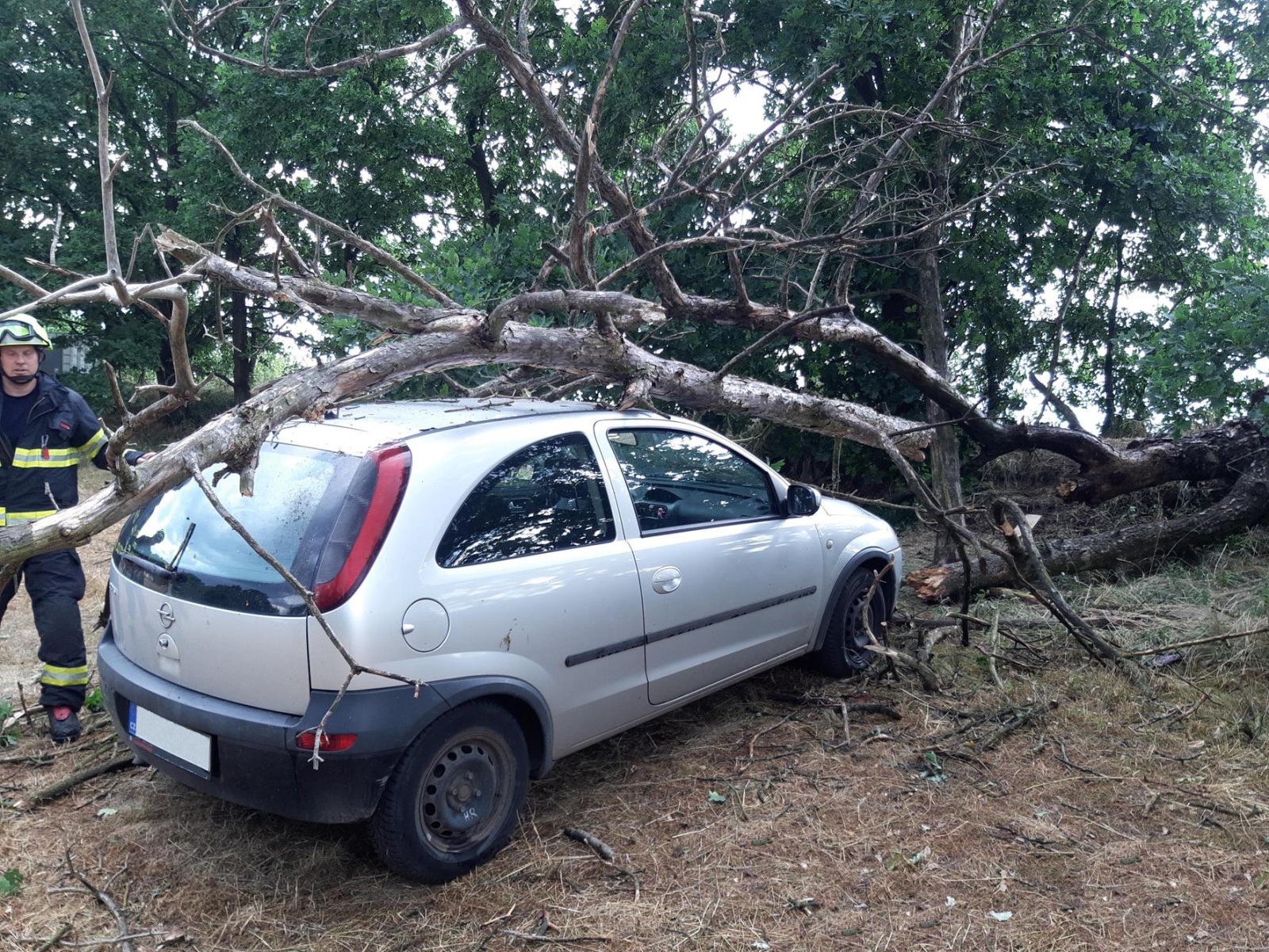 189-Zlomený strom na osobním autě u obce Příčovy v okrese Příbram.jpg