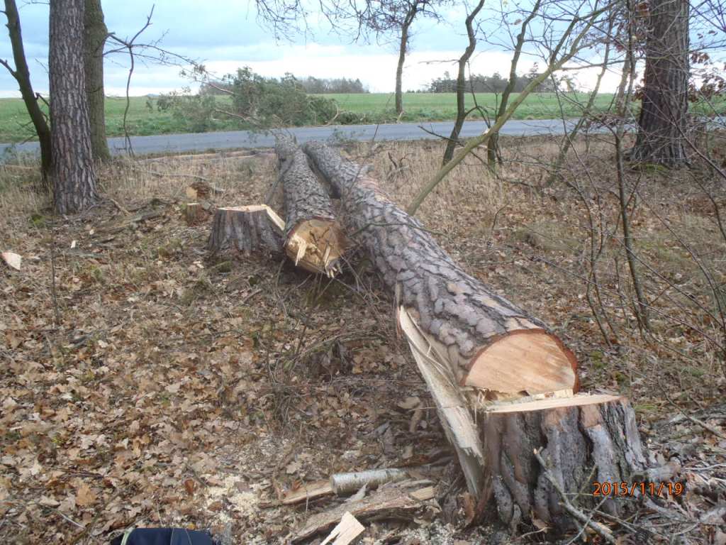 19.11.2015 odstrannění stromu Meclov-Jeníkovice.JPG