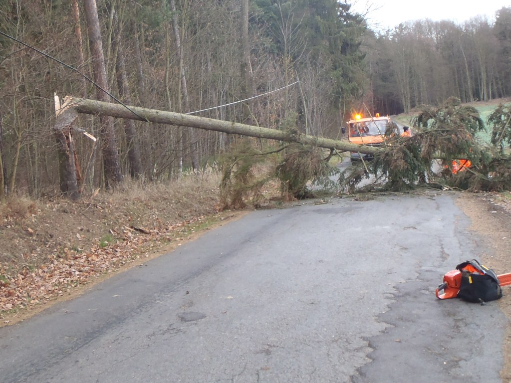 19.11.2015 odstrannění stromu Ptetín.JPG