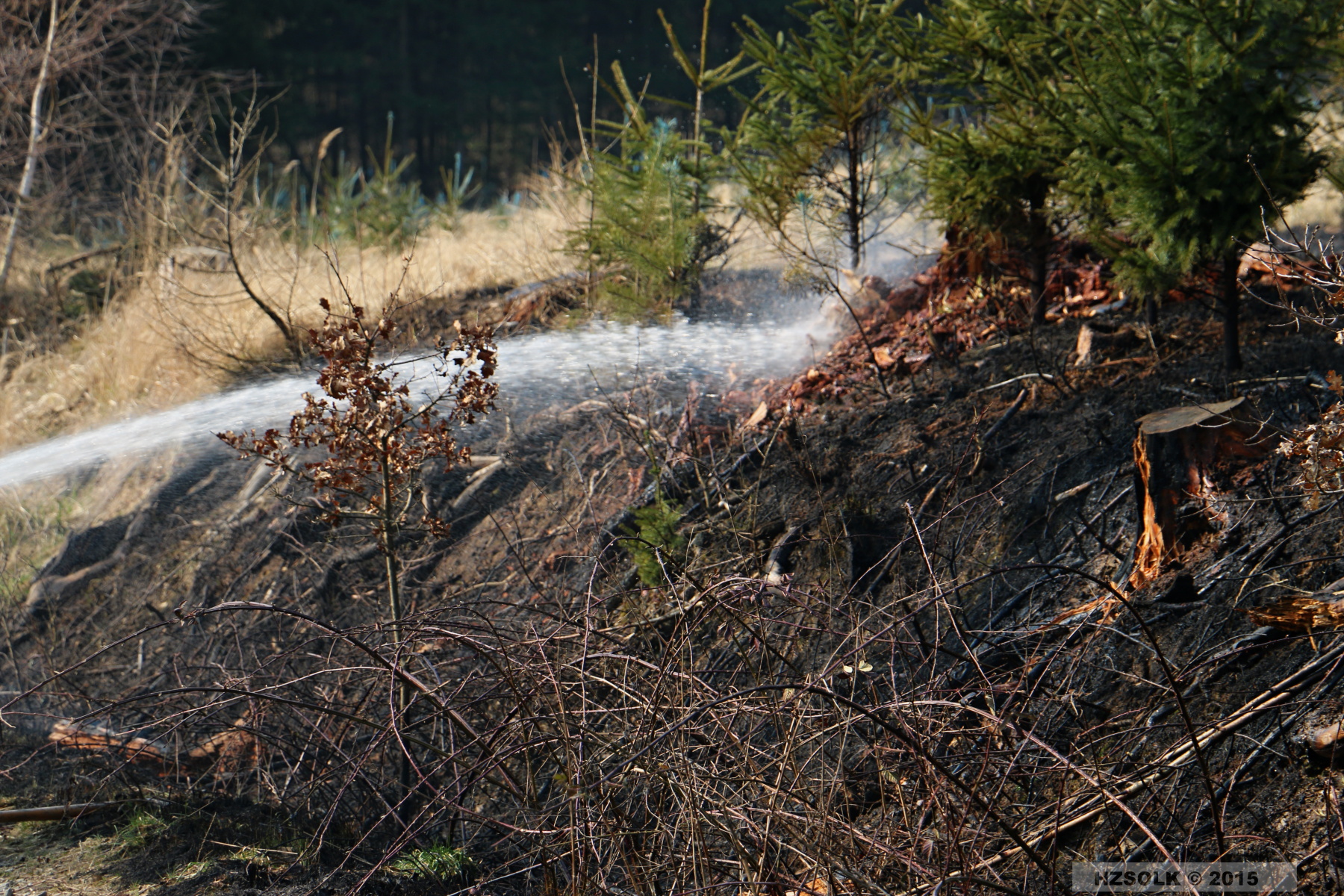 2 P_LP_24-3-2015 Požár lesa Přerov Penčice (10).JPG