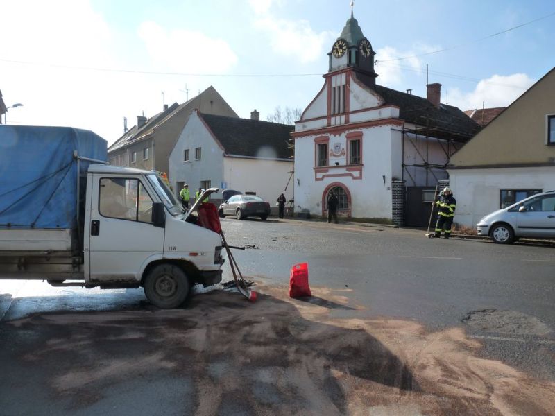 20.1.2014 foto/20.2.2014 DN Janovice nad Úhlavou.jpg