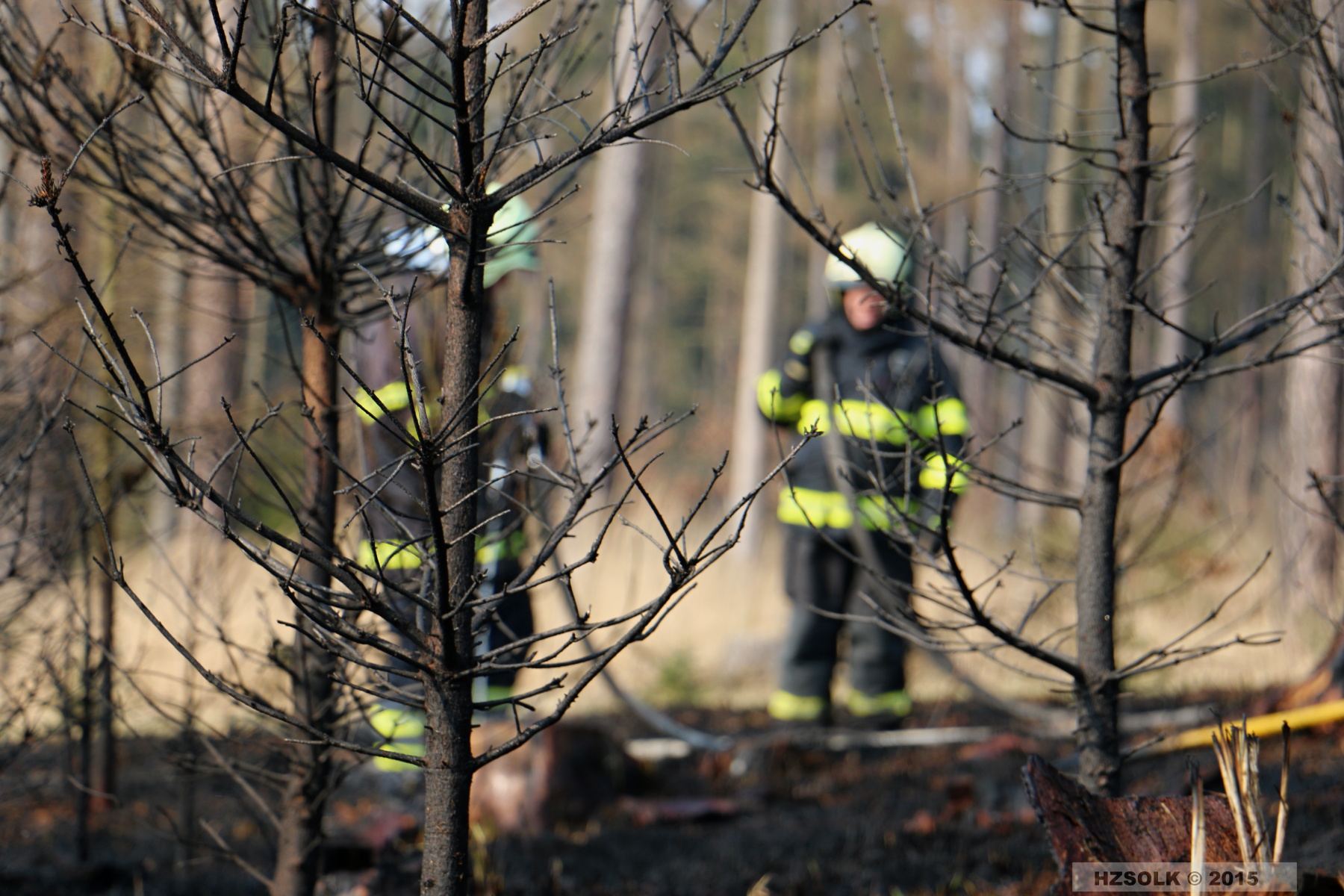 21 P_LP_24-3-2015 Požár lesa Přerov Penčice (5).JPG