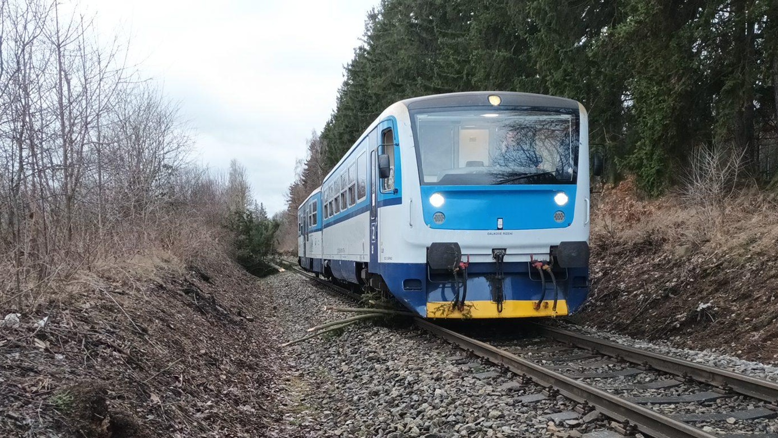 240124-Najetí vlaku do padlého stromu u Fialova rybníka v Příbrami.jpg