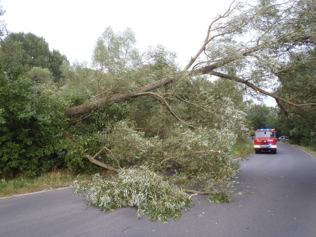 28.7.2015 strom přes cestu Újezd.JPG