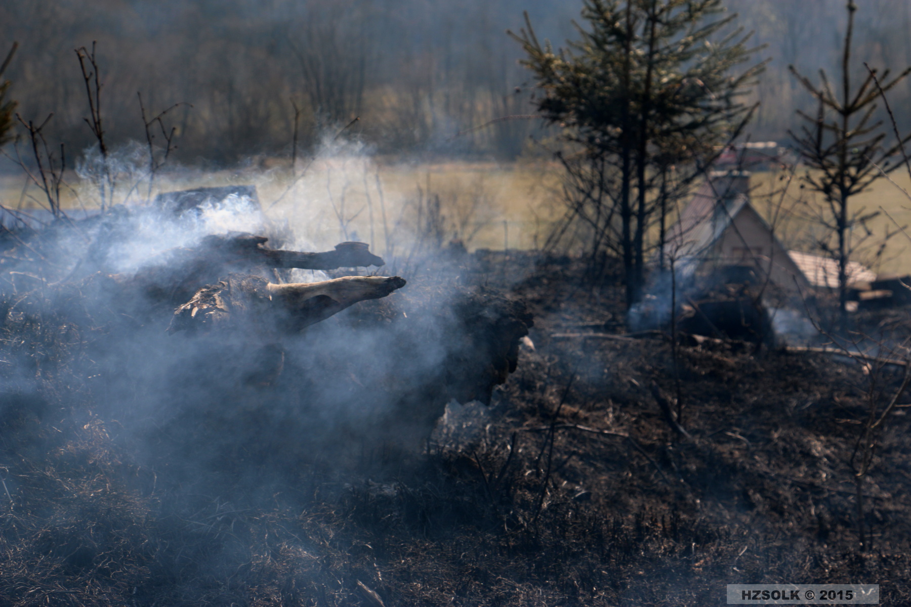 6 P_LP_24-3-2015 Požár lesa Přerov Penčice (14).JPG