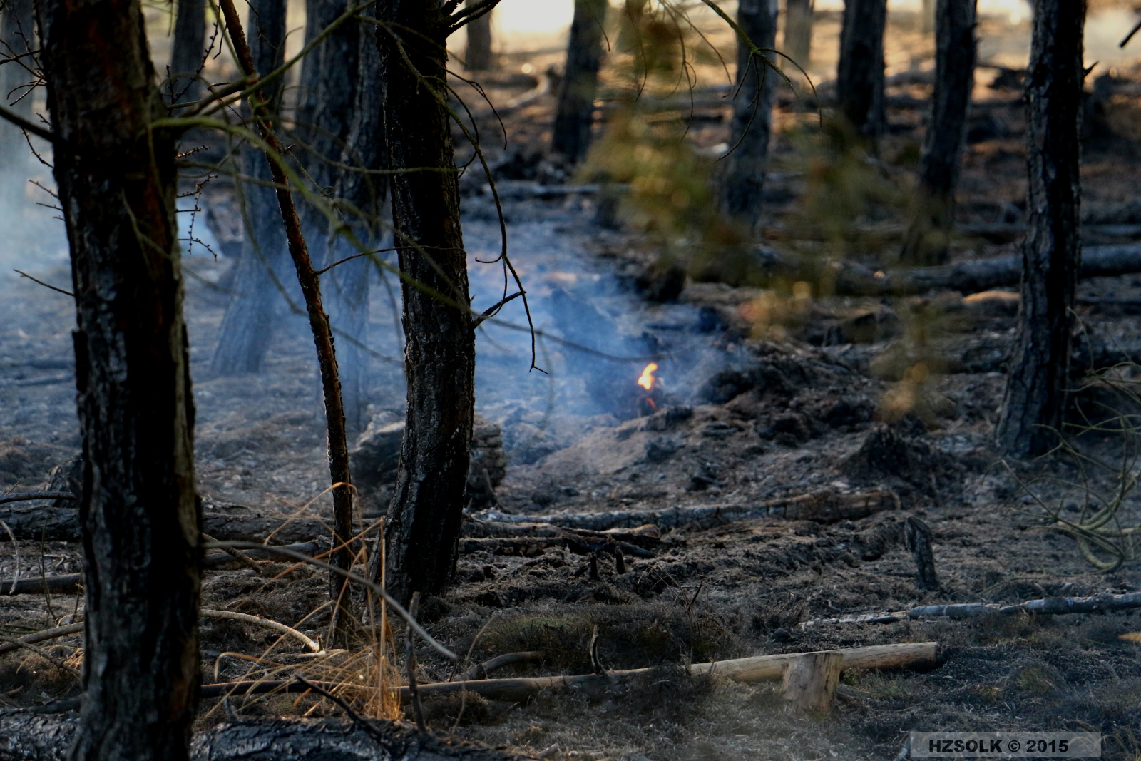 8 21-4-2015 Požár lesa Náměšť na Hané (16).JPG