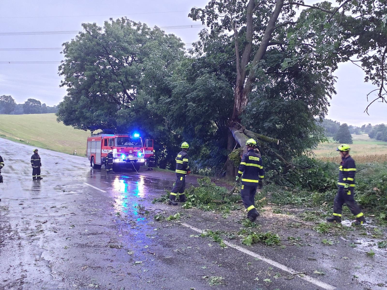 Bystré - strom v komunikaci.jpg