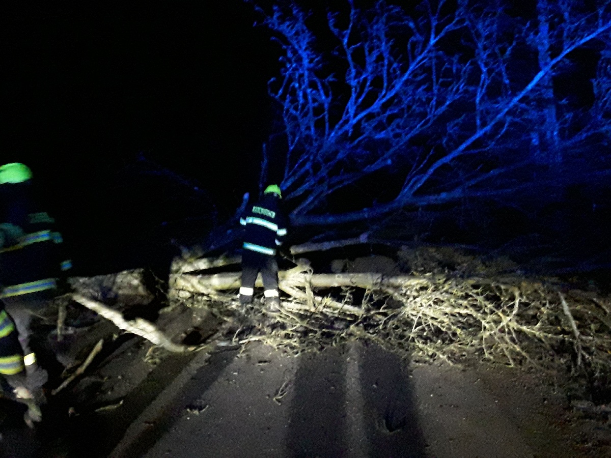 Hasiče na Vysočině zaměstnávají popadané stromy