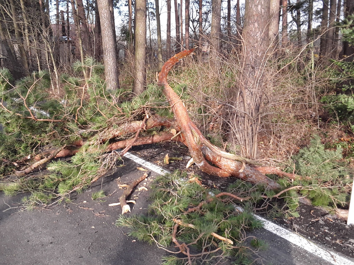 Hasiči na Vysočině likvidují následky silného větru