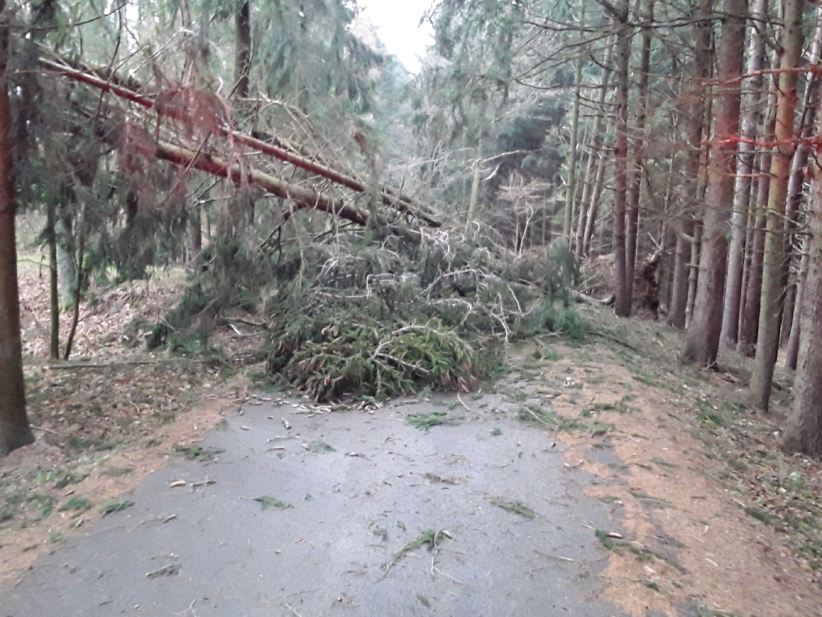 Hasiči na Vysočině likvidují následky silného větru