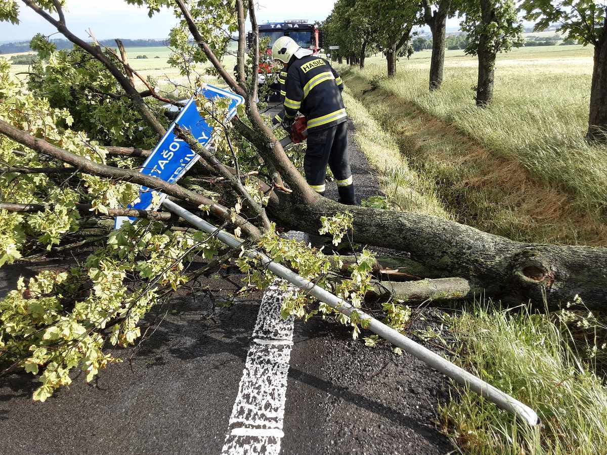 Hasiči na Vysočině odstraňovali popadané stromy.