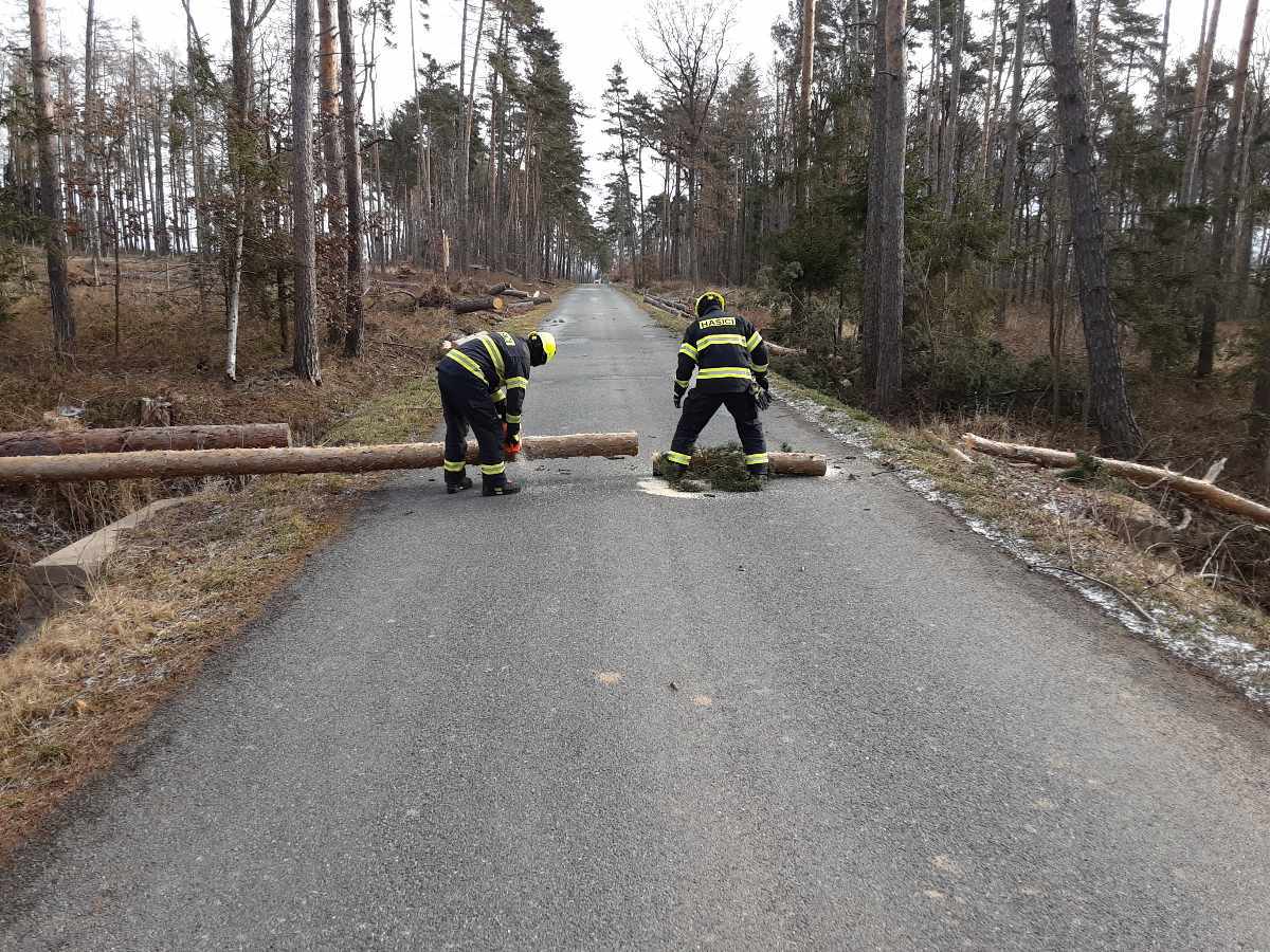 Hasiči zasahovali u popadaných stromů