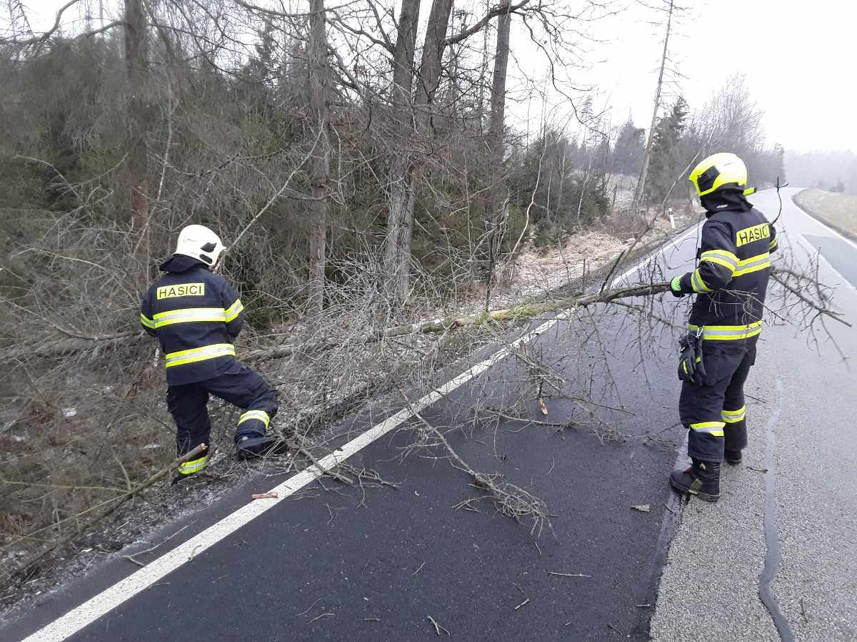 Hasiči zasahovali u popadaných stromů