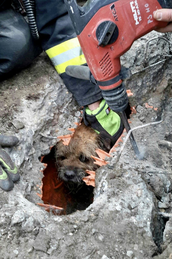 JMK_odstraňování betonu, kde byli uvězněni pejsek s kočičkou, pomocí brusky a bouracího kladiva.jpg