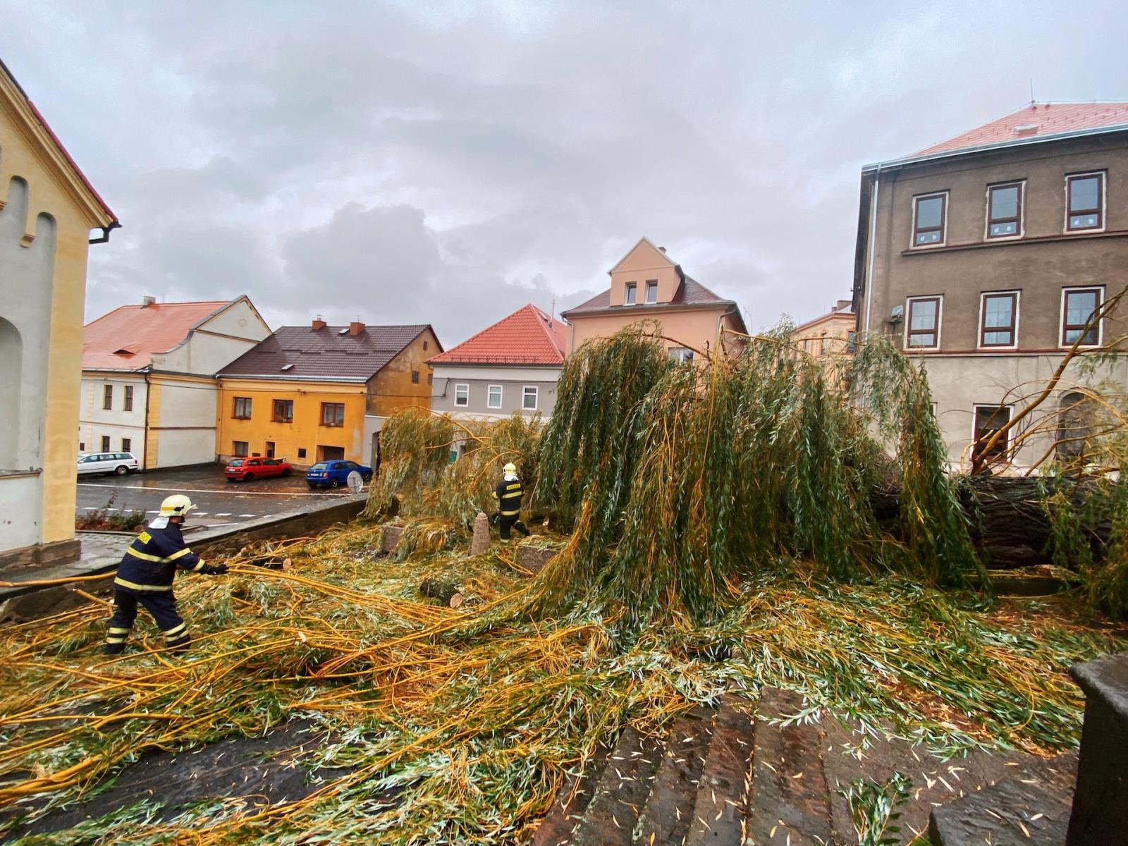 Odstraňení spadlého stromu v obci Hrob (3).JPG