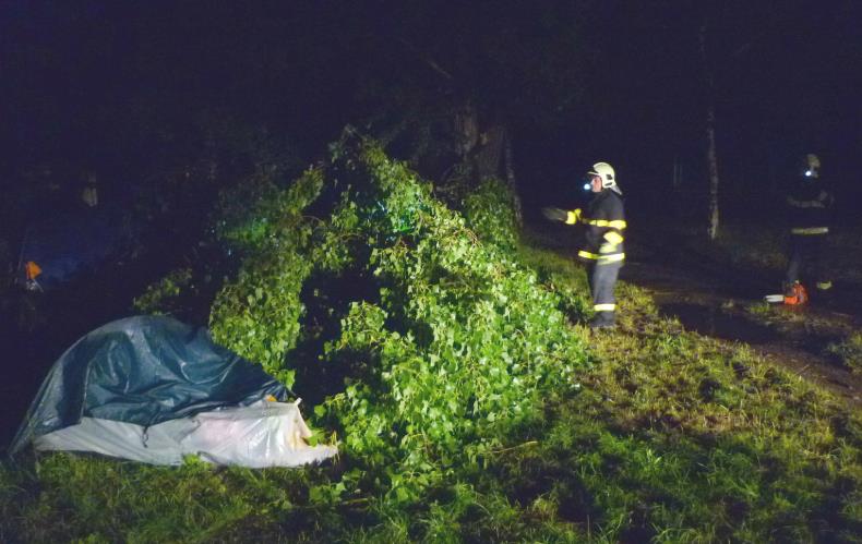 Pád stromu na stan v kempu Píšťany (2).JPG