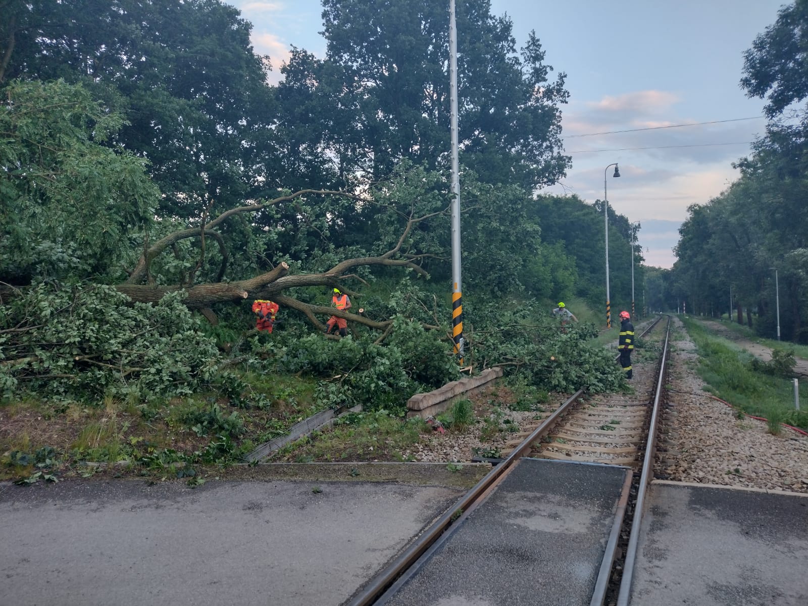 Popadané stromy na Dačicku - 20. 6. 2022 (4).jpg