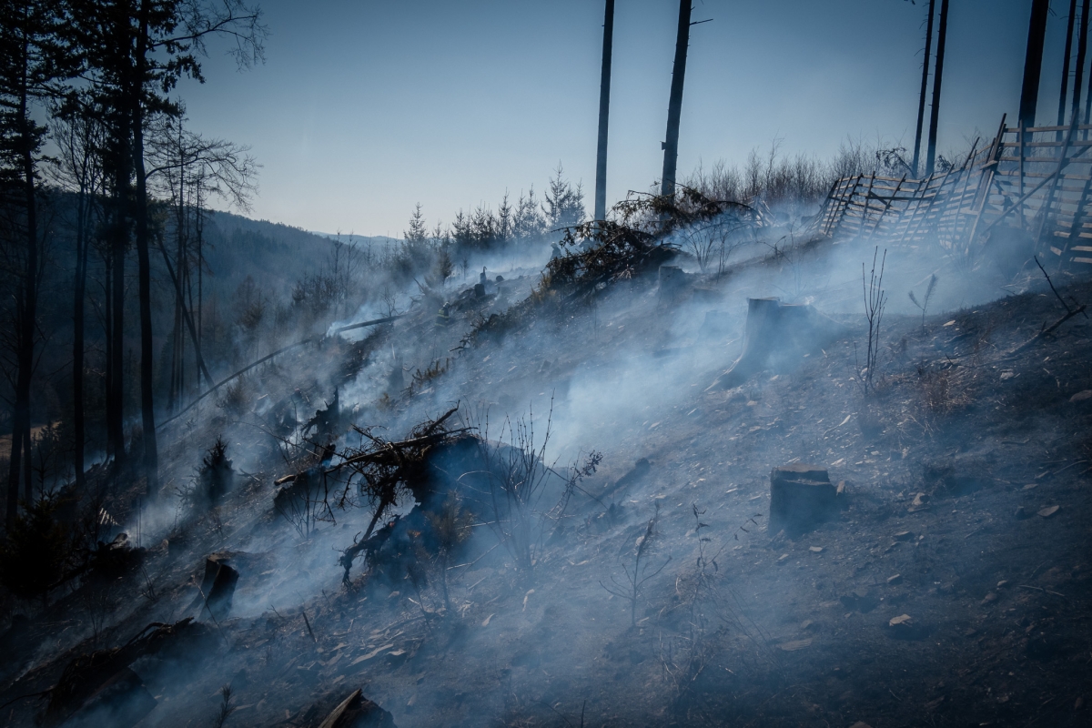 Požár lesa a porostu u Sloupu (14).jpg