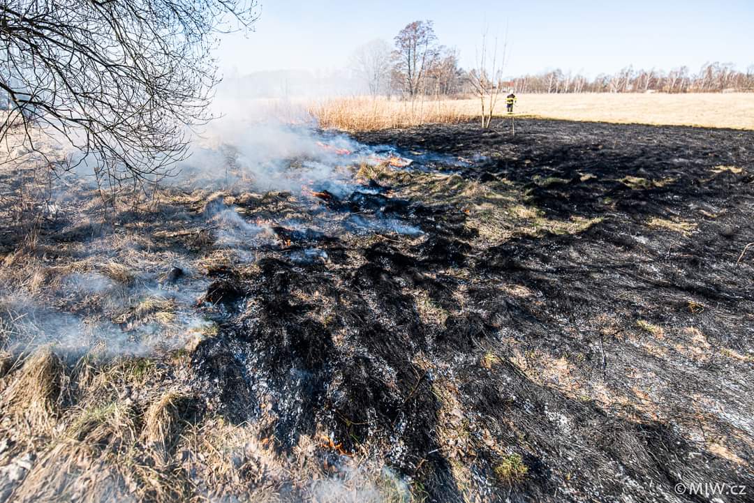 Požár v přírodním prostředí_Ústecký kraj (2).jpg