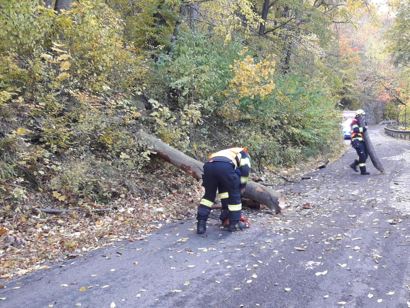 SČK_odstraňování následků, popadaných stromů, po řádění orkánu Ignác.jpg