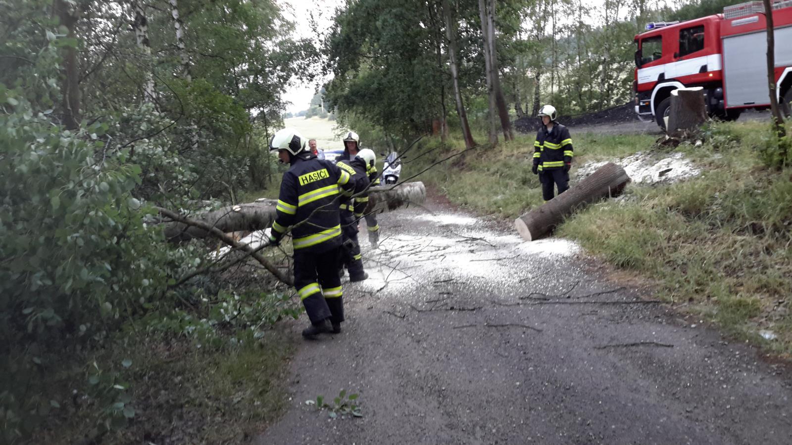 Spadlý strom, Jivno - 23. 6. 2017 (1).jpg