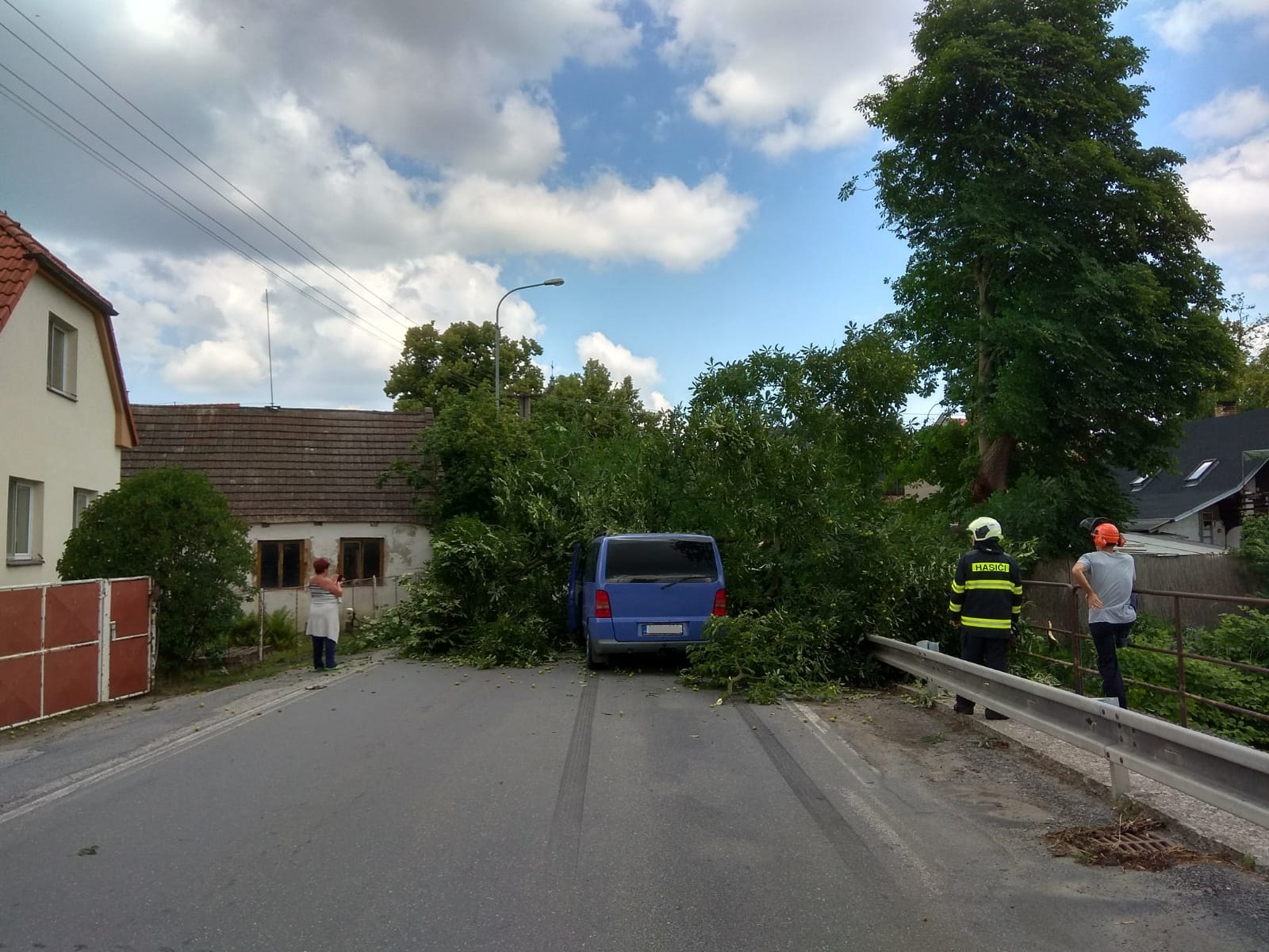 Spadlý strom, Slapy - 27. 6. 2018 (1).jpg