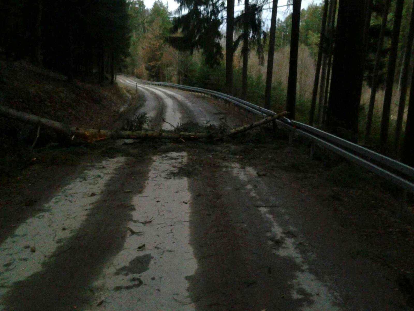 Strom přes komunikaci Sedlice