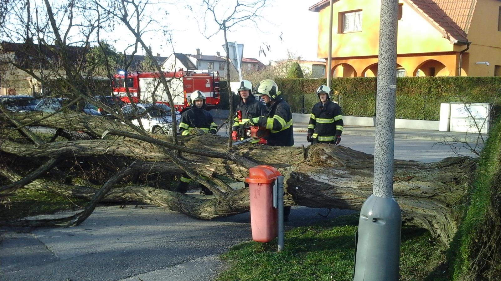 Stromy, České Budějovice - 11. 3. 2019 (4).jpg