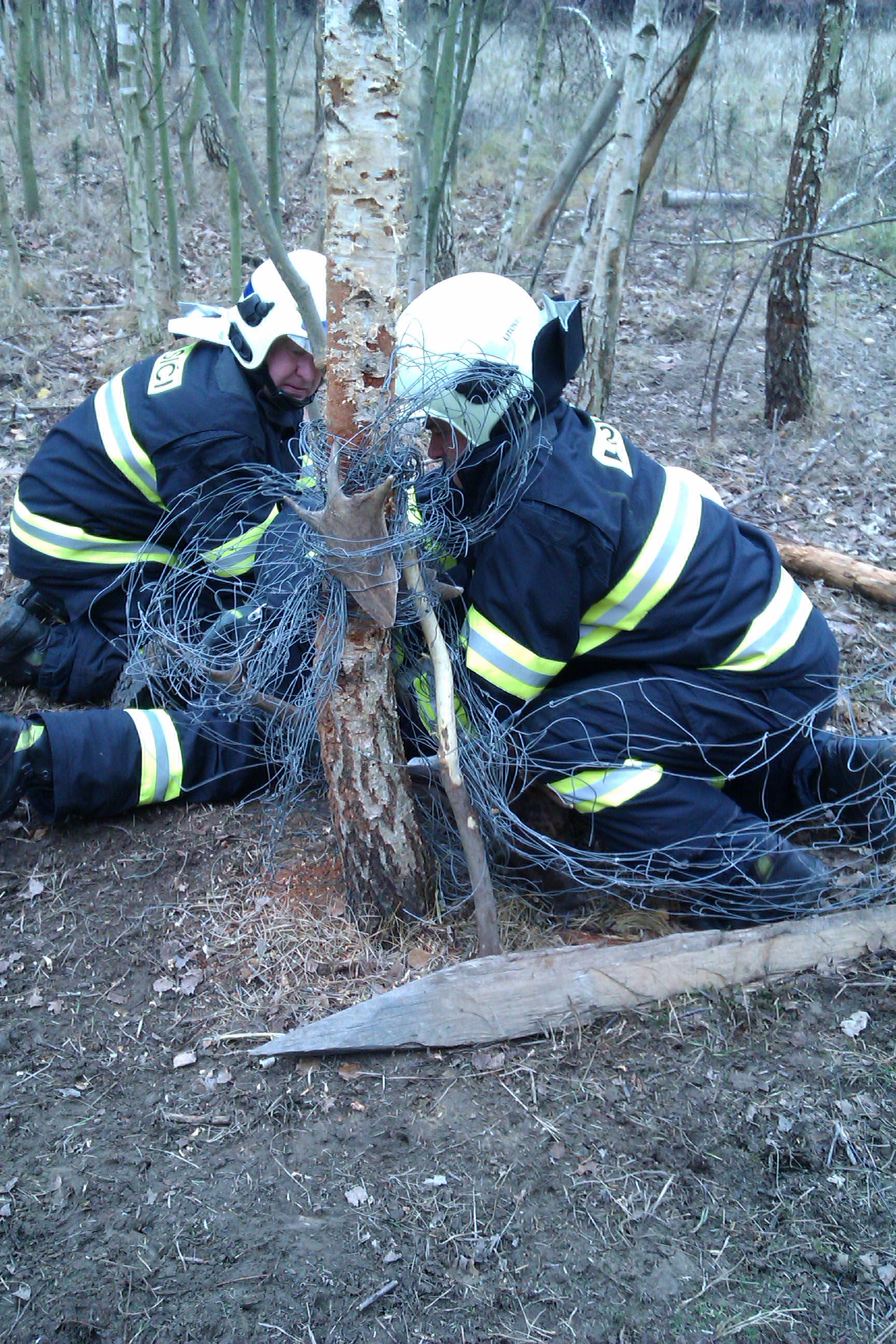 TP_litovelsko_18-11-2012