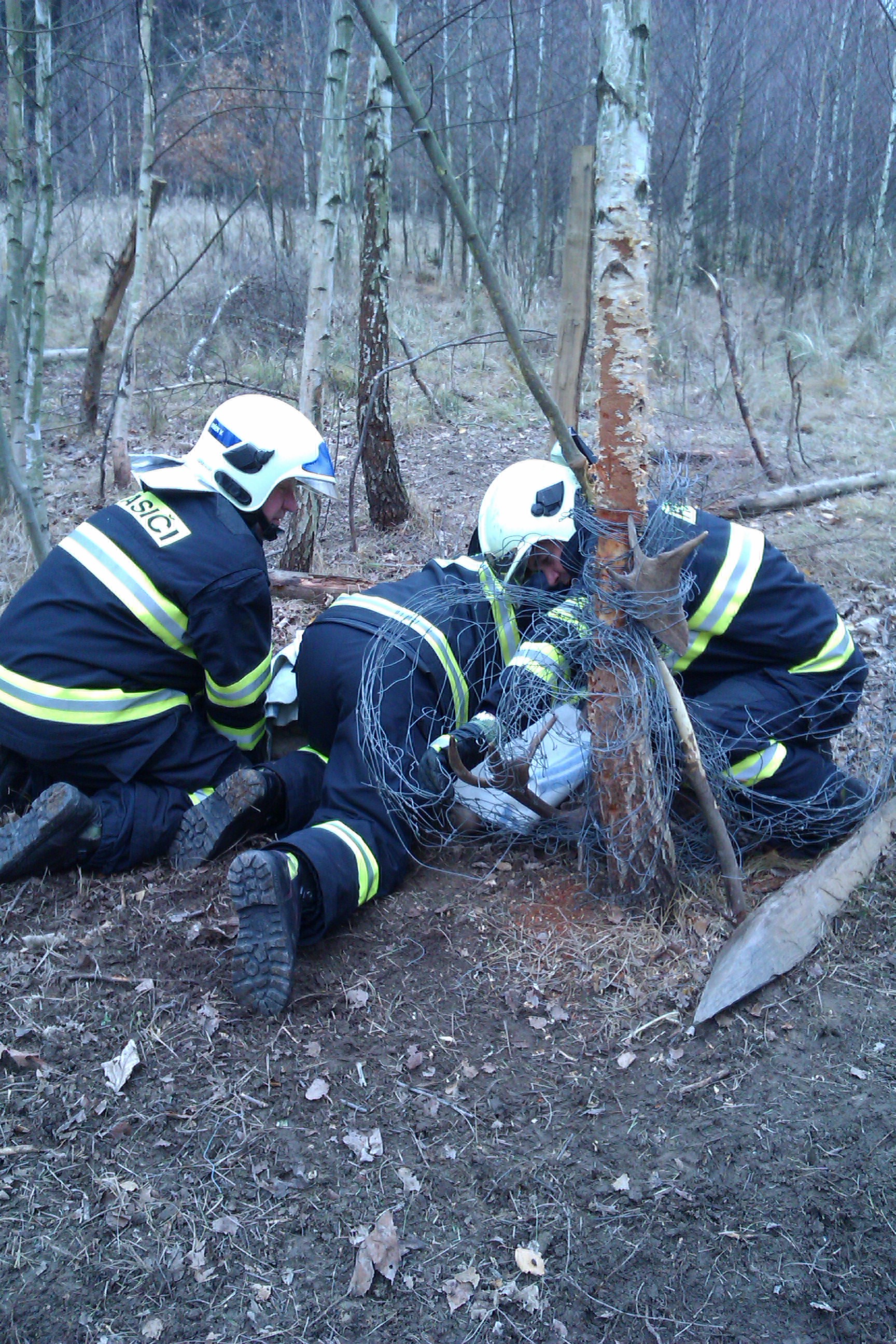 TP_litovelsko_18-11-2012