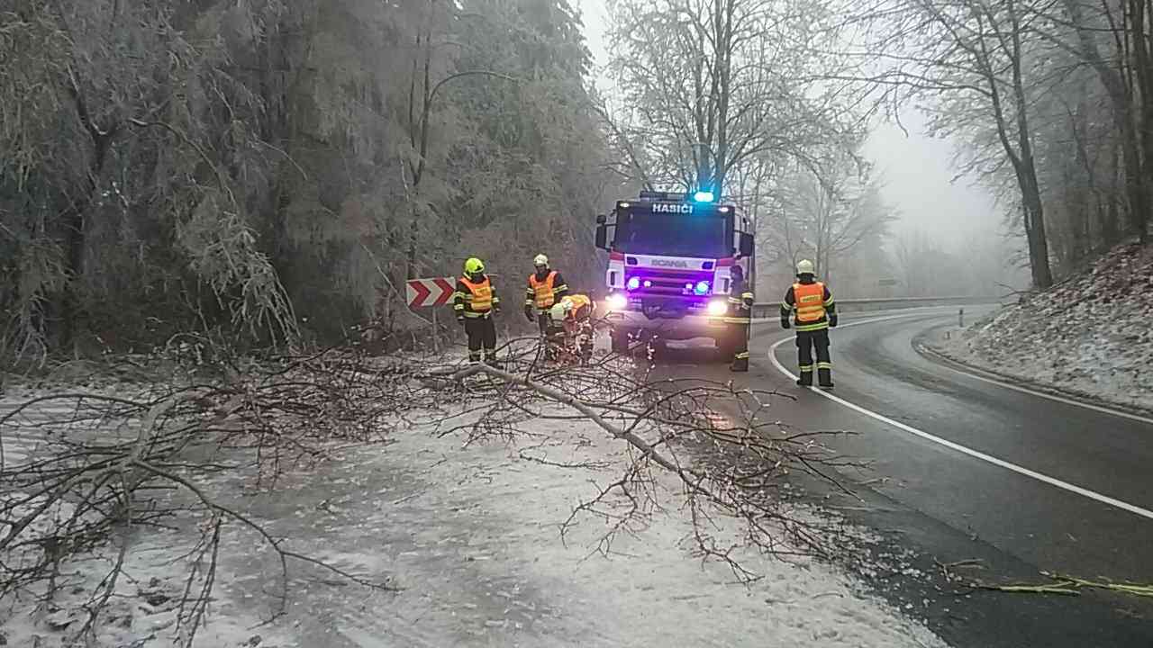 TP_stromy_kraj_3-12-2018