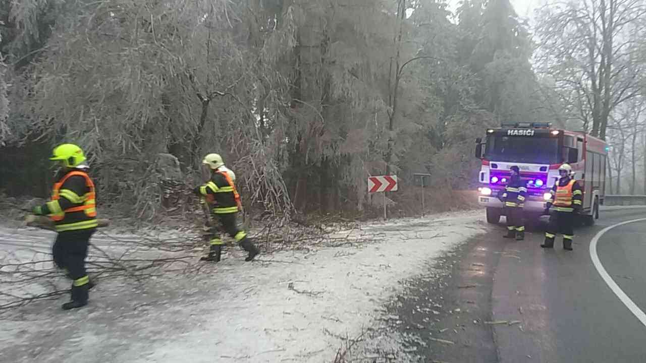 TP_stromy_kraj_3-12-2018