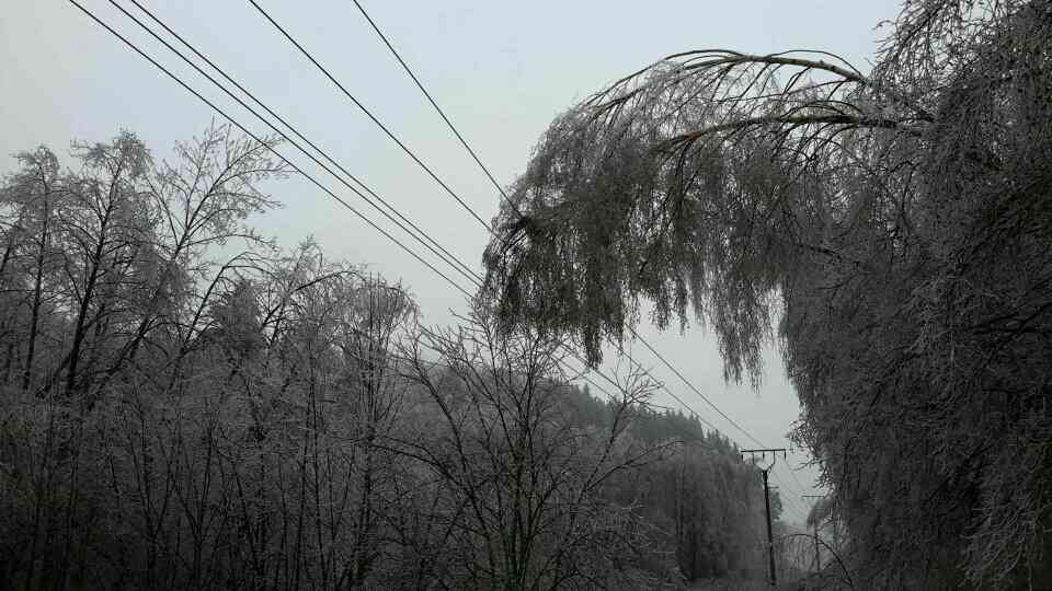 TP_stromy_kraj_3-12-2018