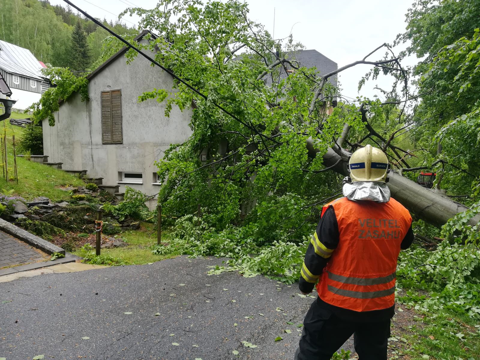 Vzrostlý strom rozpůlil střechu.png