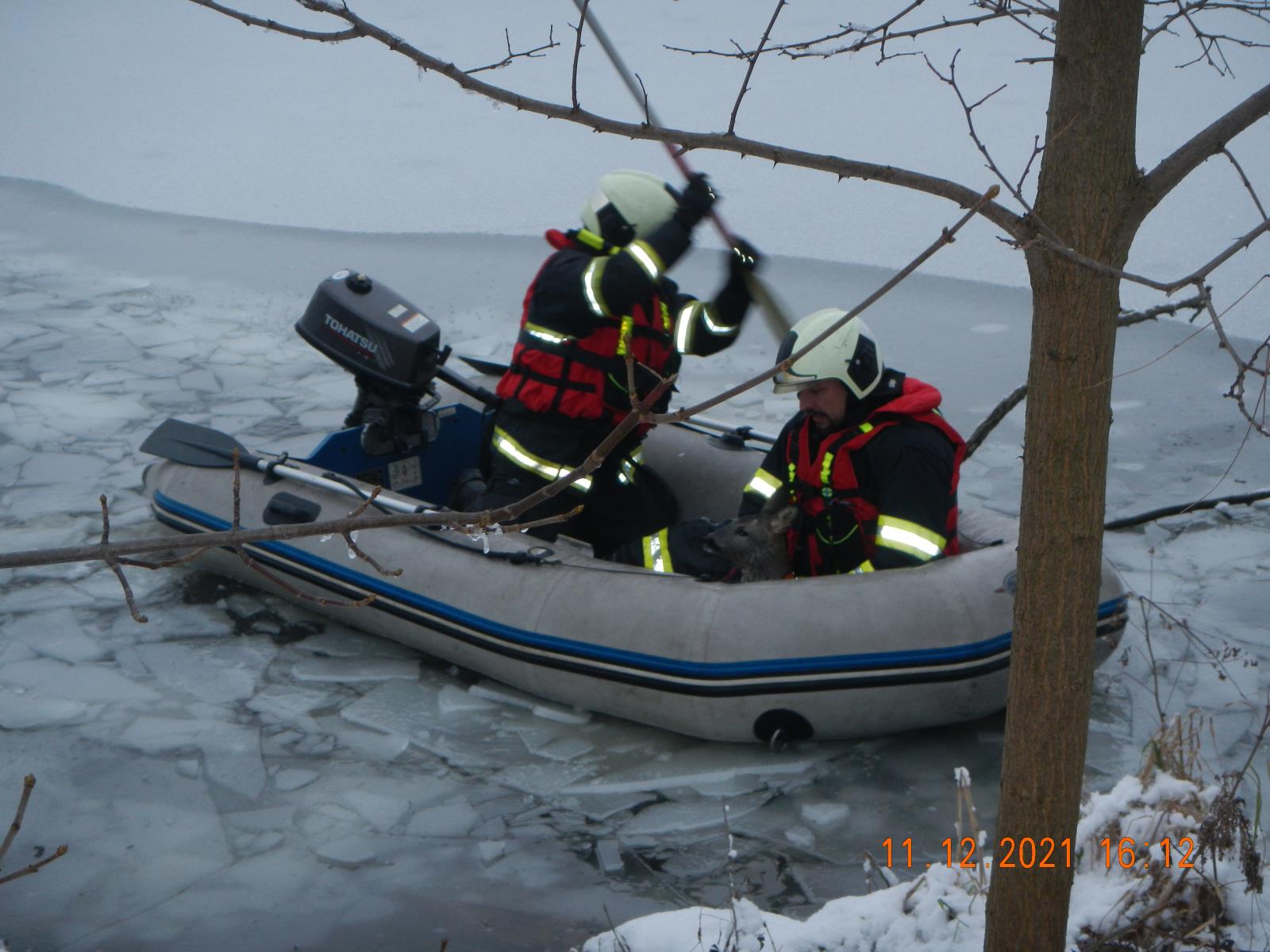 Záchrana srnky, Zbudov - 11. 12. 2021 (2).JPG