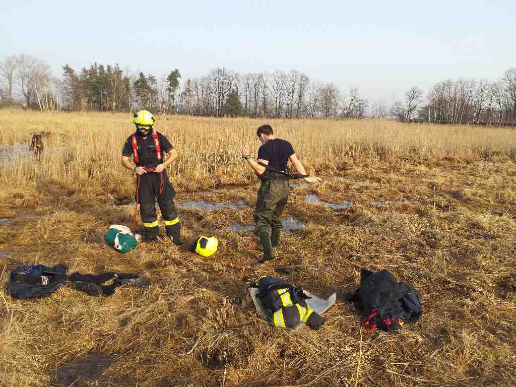 kůň ve vodě24-2-2021a.jpg